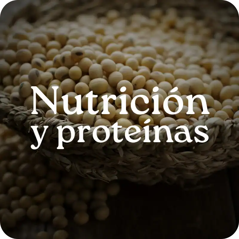 Nutrición y proteínas